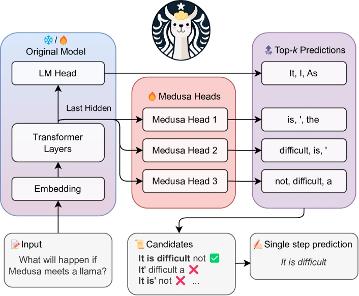 Figure 1 of Medusa (arXiv:2401.10774) — diagram of Medusa's parallel decoding heads attached to the target LLM's final hidden state, with each head predicting a future-position token in parallel